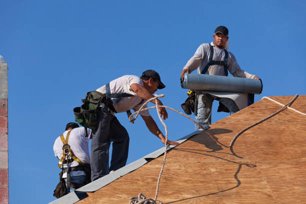 Best Commercial Roofing Services  in Edgewood, FL
